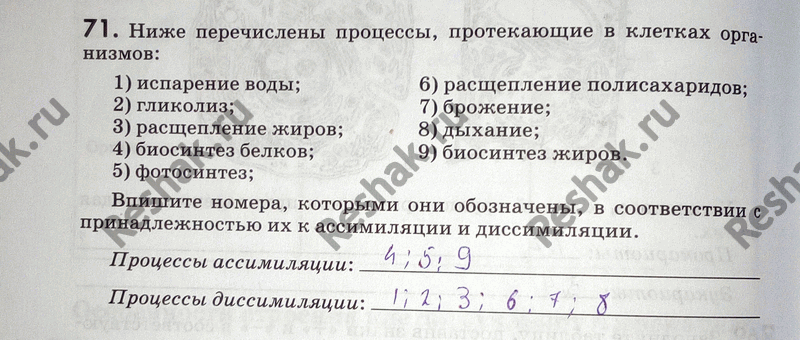 Изображение 71. Ниже перечислены процессы, протекающие в клетках организмов:1) испарение воды; 6) расщепление полисахаридов;2) гликолиз; 7) брожение;3) расщепление жиров; 8)...