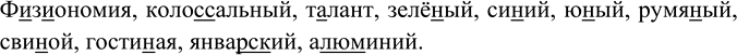 Изображение Диктант из слов с непроверяемыми орфограммами, правописание которых изучалось в теме «Имя...