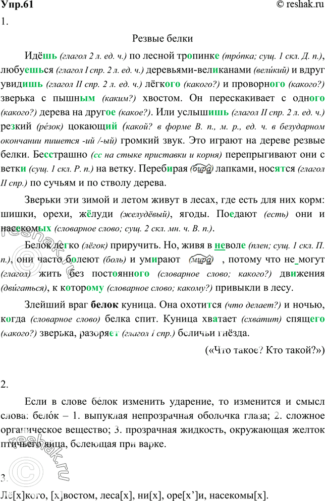 Изображение 61 1. Озаглавьте текст и перепишите его.Идё(ш, шь) по лесной тр..пинк , любуйся деревья-ми-вел..канами и вдруг увид? лёгк? и проворн? зверька с пышн? хвостом. Он...